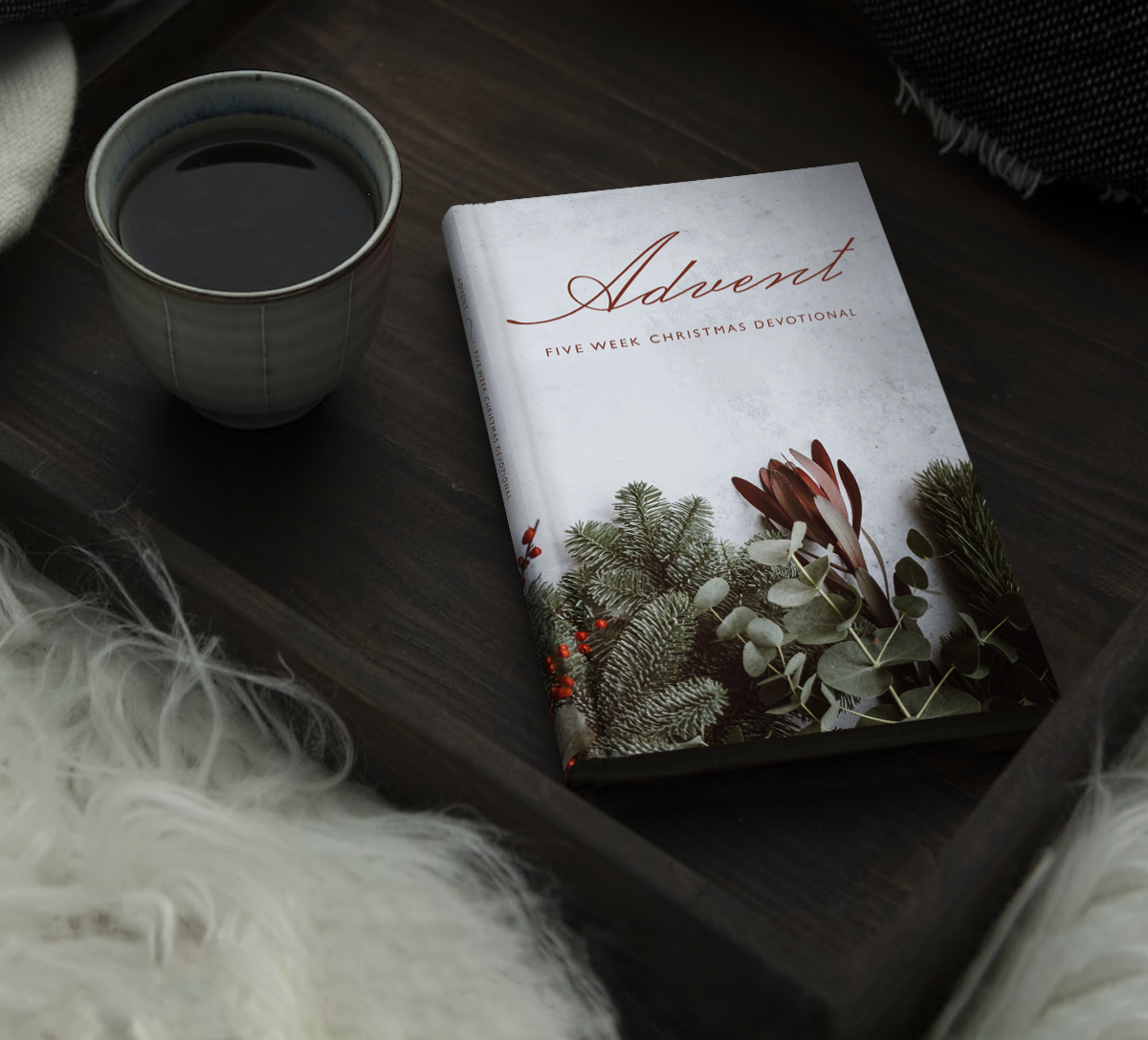Advent book cover